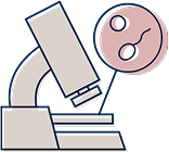 Imagem demonstrativa de um óvulo sendo fecundado com auxílio da injeção